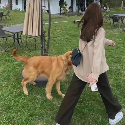 铁汉尤物